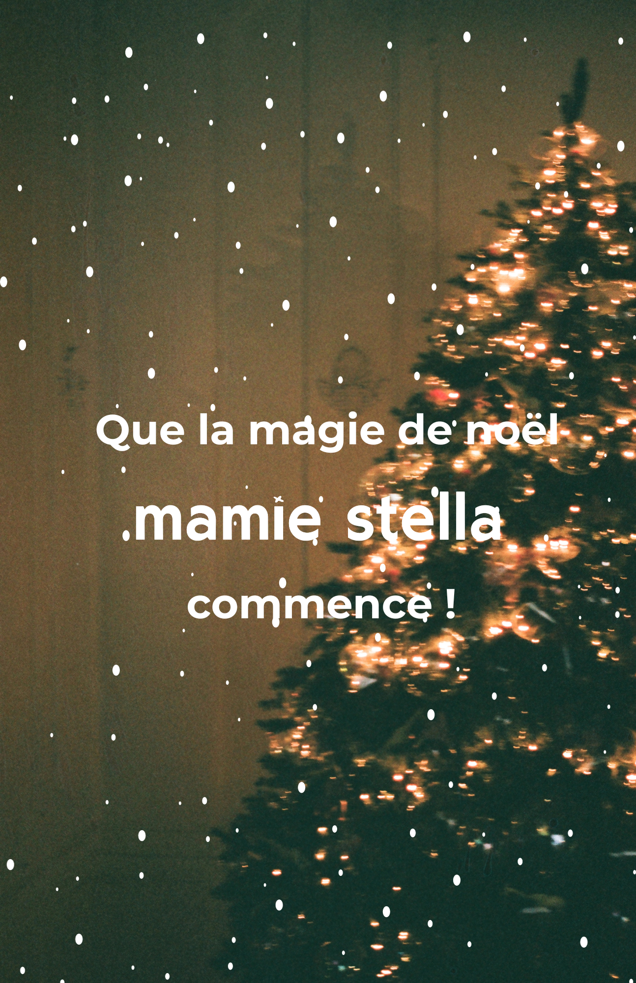 Construire une cabane Mamie Stella : offrez aux enfants le cadeau rêvé pour Noël !