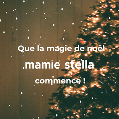 Construire une cabane Mamie Stella : offrez aux enfants le cadeau rêvé pour Noël !